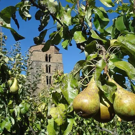 Barangua En El Pirineo Aragones Santa Cruz de la Serós