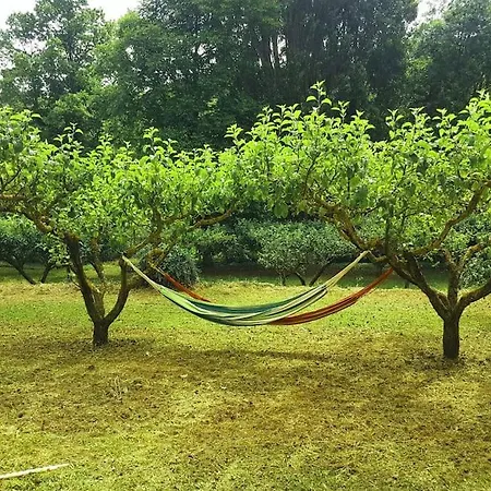 Barangua En El Pirineo Aragones Santa Cruz de la Serós