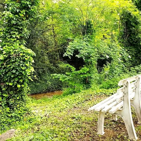 Feriehus Barangua En El Pirineo Aragones *